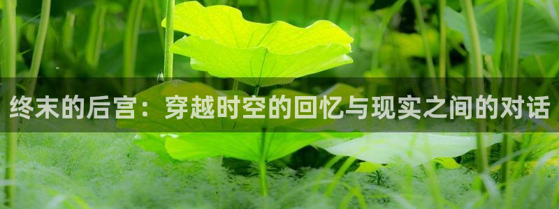 韩漫在线看.：终末的后宫：穿越时空的回忆与现实之间的对话