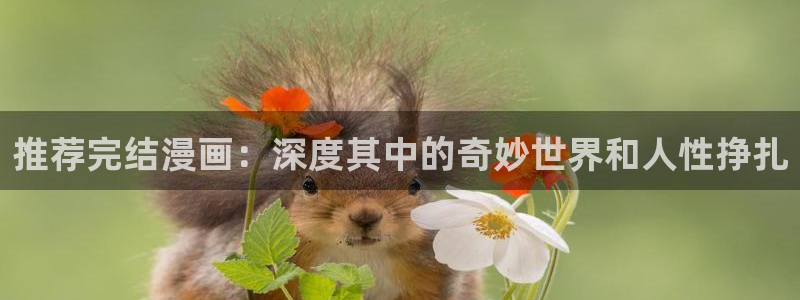 好用的韩漫画app推荐：推荐完结漫画：深度其中的奇妙世界和人性挣扎