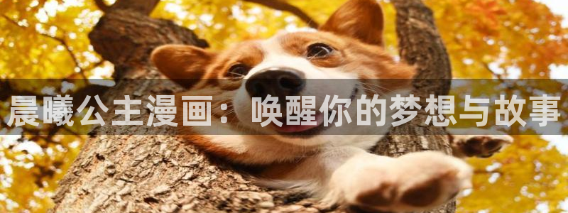 韩漫无删减版免费观看漫：晨曦公主漫画：唤醒你的梦想与故事