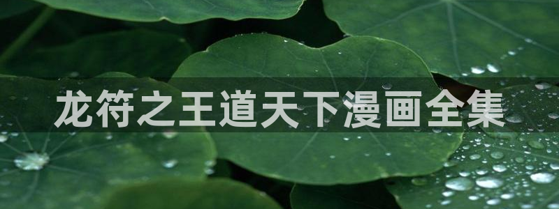 韩漫监狱女囚漫画全集：龙符之王道天下漫画全集