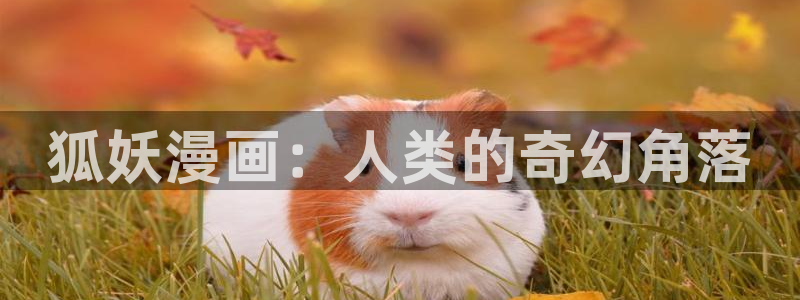 韩漫水边之夜在线观看：狐妖漫画：人类的奇幻角落