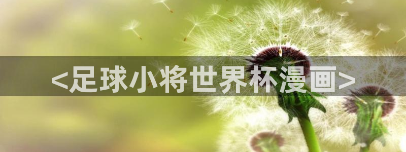 ruthless韩漫漫画免费全集：<足球小将世界杯漫画>
