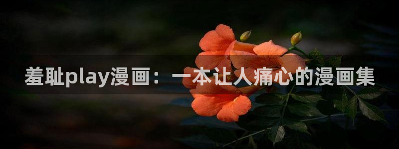 看日韩漫画的app有哪些：羞耻play漫画：一本让人痛心的漫画集