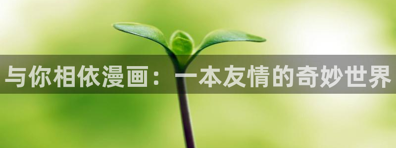 外网韩漫网站