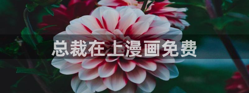 韩漫漫画免费观看