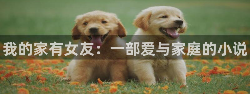 韩漫夫妇游戏漫画全集