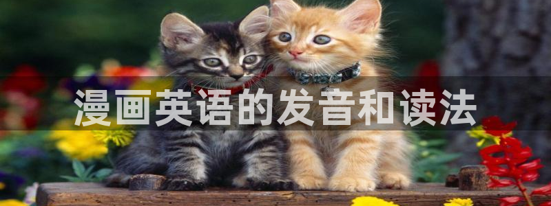 韩漫日漫港漫