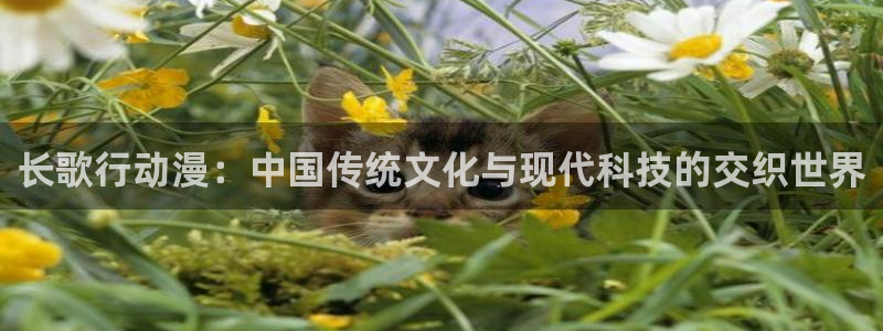 免费看韩漫画的软件推荐全免费的