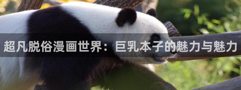 观看韩漫的网站