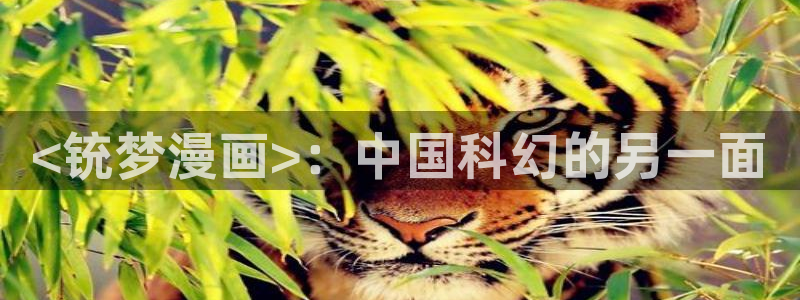 韩漫羞羞官网：<铳梦漫画>：中国科幻的另一面