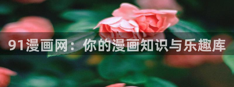 免费韩漫无遮漫画大全在线：91漫画网：你的漫画知识与乐趣库